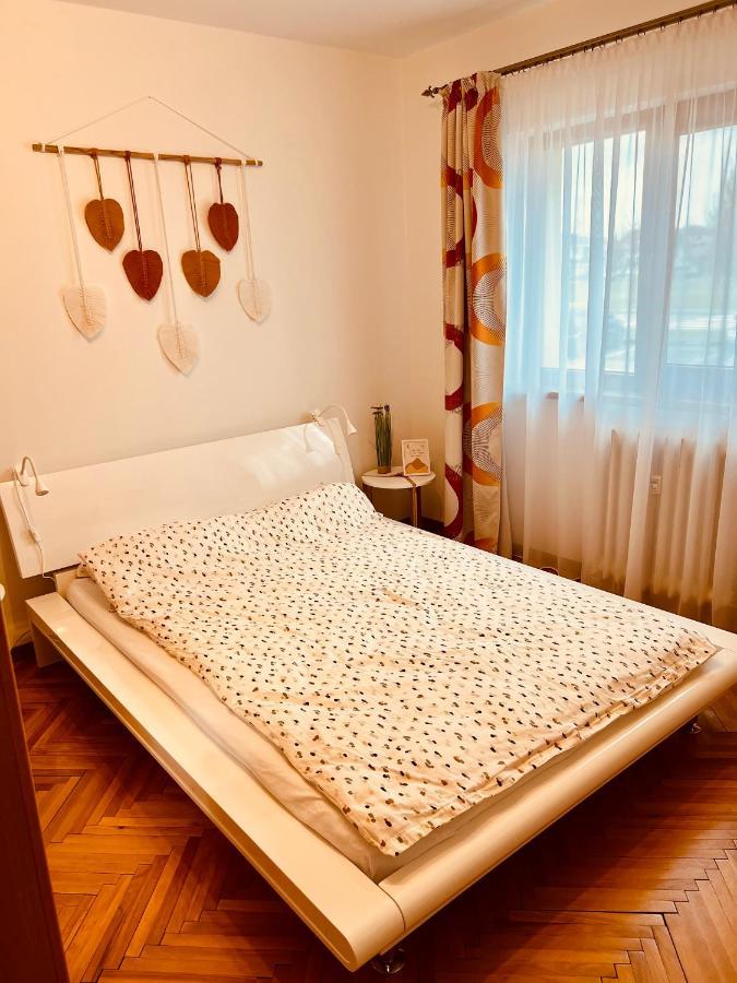 Adona Residence Oradea Ngoại thất bức ảnh